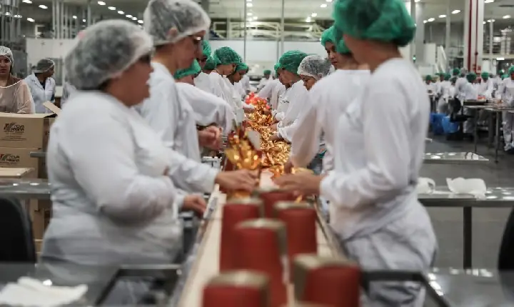 Firjan promove Sessão de Negócios com empresas do Setor de Alimentos em Itaperuna