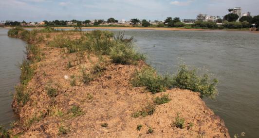 CAMPOS: Rio Paraíba do Sul , vive pior momento de baixa dos últimos 80 anos.