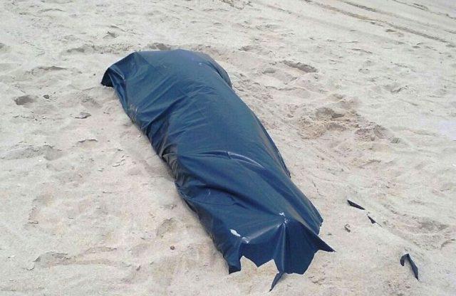 São Francisco de Itabapoana: Petroleiro aposentado é encontrado morto em lagoa.