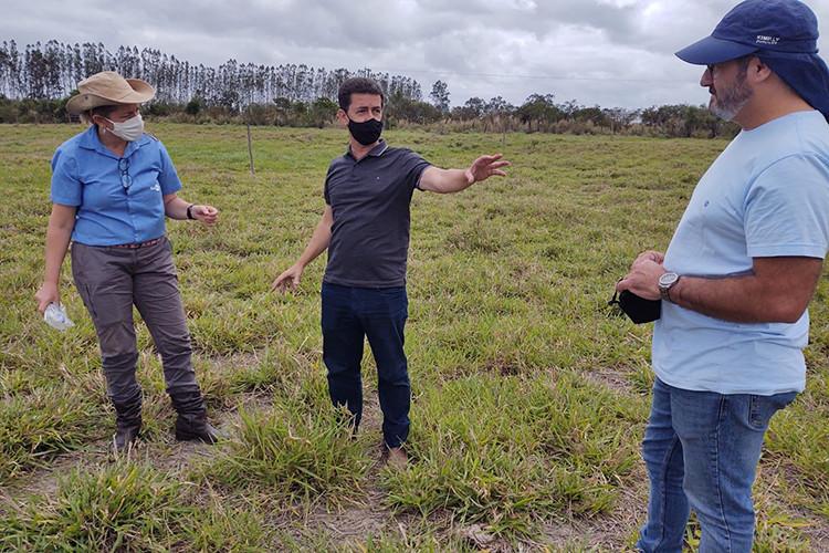 Embrapa visita propriedade que poderá abrigar pecuária de Baixo Carbono.