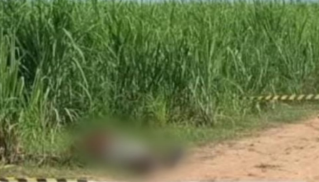 Campos: Corpo é encontrado na estrada de Lagoa de Cima