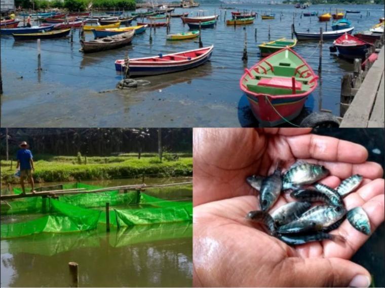 FIPERJ REALIZA I SIMPÓSIO REGIONAL DE PESCA E AQUICULTURA DO NORTE E NOROESTE FLUMINENSE