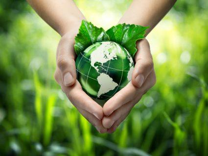 Dia 5 de Junho – Dia Mundial do Meio Ambiente