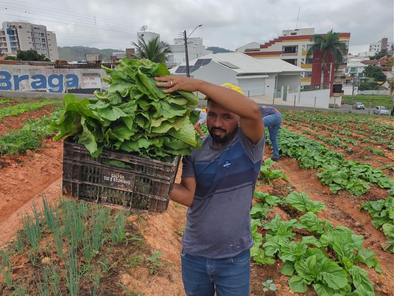 ‘Horta comunitária é só alegria’, menciona prefeito de Itaperuna
