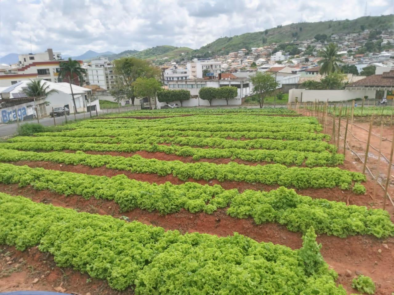 ‘Programa Mãos à Horta’ segue com força máxima em Itaperuna