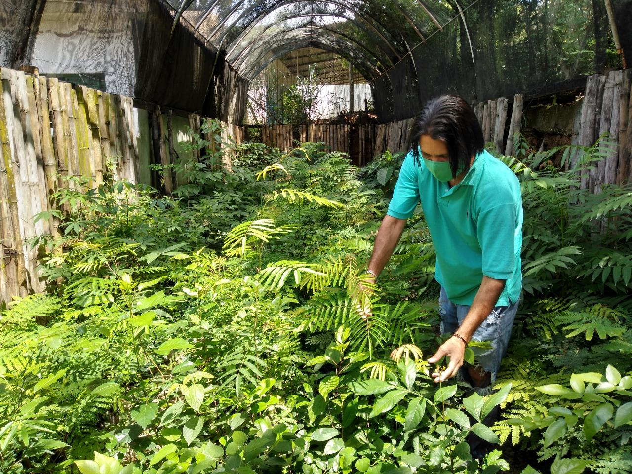 Secretaria do Ambiente de Itaperuna realiza produção e manejo de mudas
