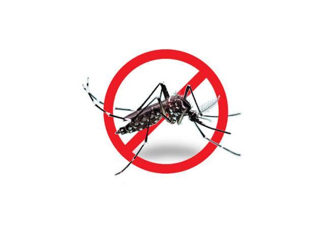Prefeitura municipal de Italva intensifica combate à Dengue