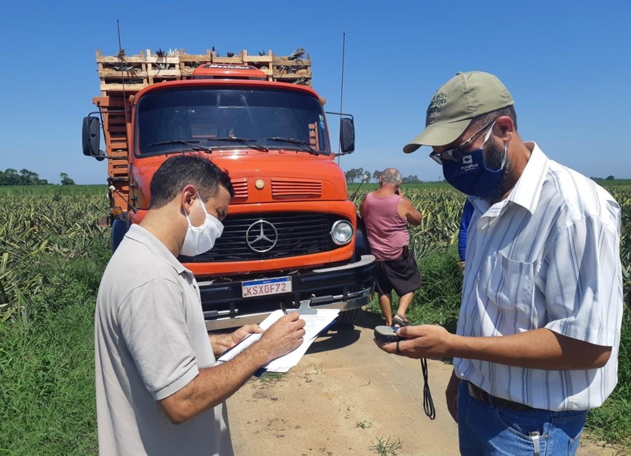 Uso de agrotóxicos no RJ: Secretaria de Estado de Agricultura implementou novos processos operacionais no monitoramento do uso no estado