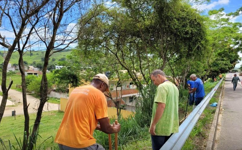 Cardoso Moreira - Ação ambiental promove plantio de 170 mudas de Ipê