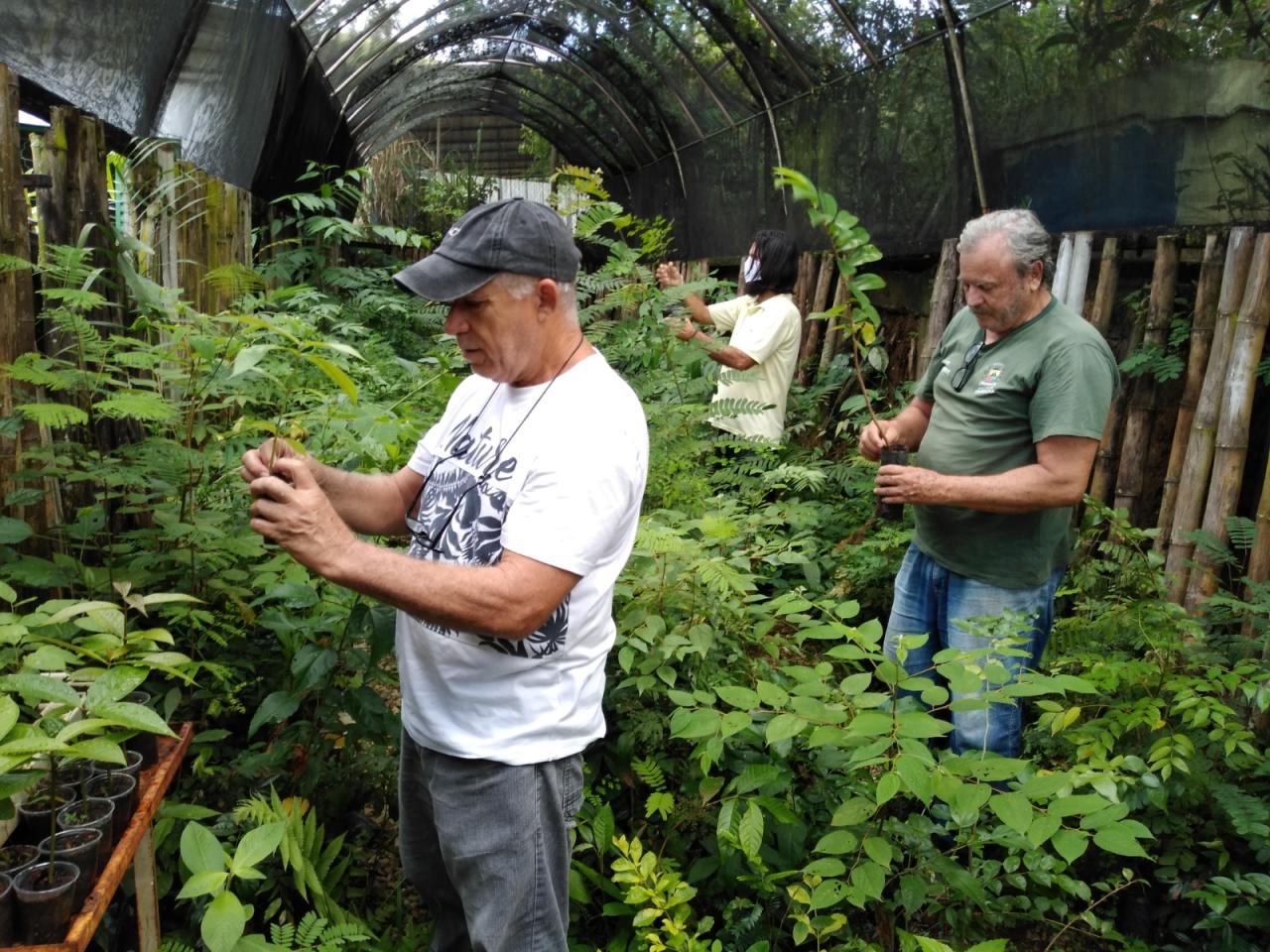Técnicos da Secretaria do Ambiente de Itaperuna trabalham com produção e manejo de mudas