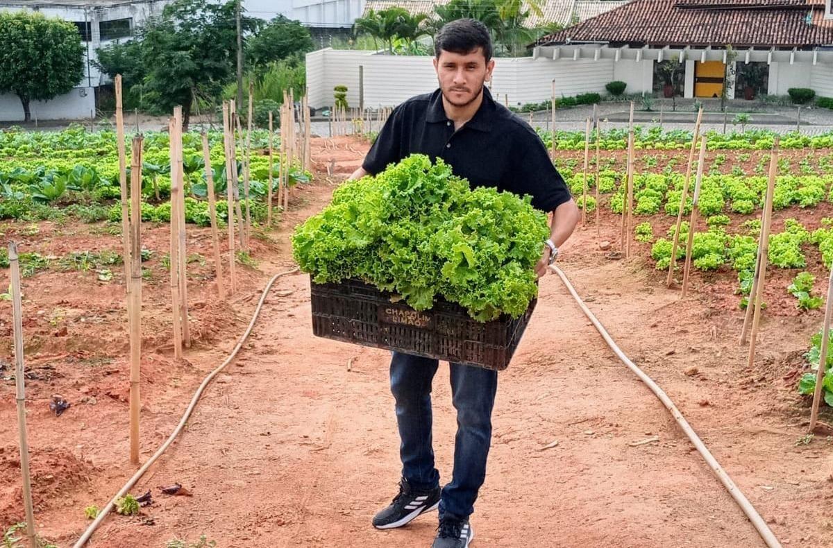 Itaperuna: horta comunitária beneficia alunos e famílias atendidas pelo CRAS  