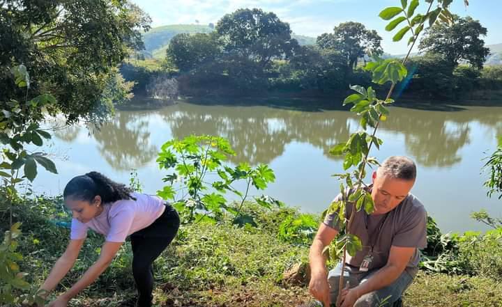 Cardoso Moreira - Secretaria do Meio Ambiente realiza plantio de árvores
