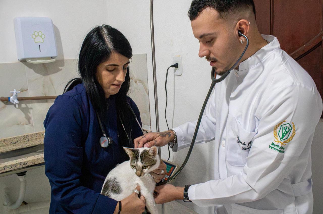 Cecop realiza cirurgias de esterilização em SJB