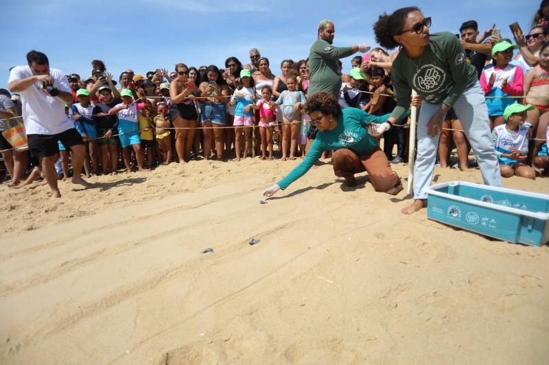 Caminhada de filhotes de tartarugas ao mar reúne centenas de pessoas em Grussaí