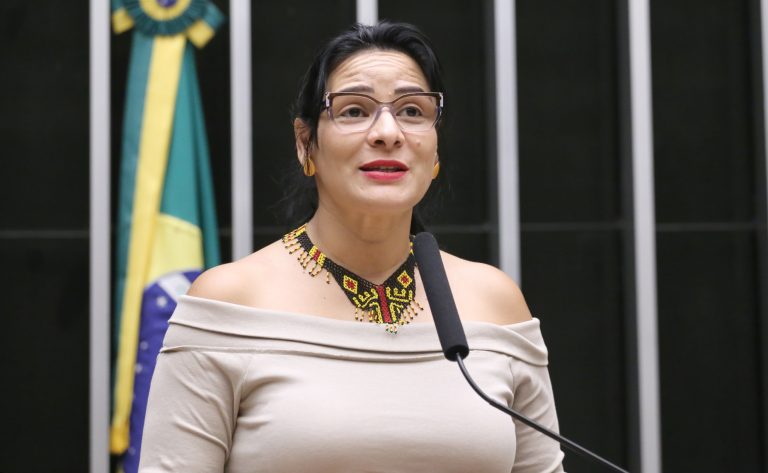 Audiência pública na Câmara discute desdobramentos da COP30