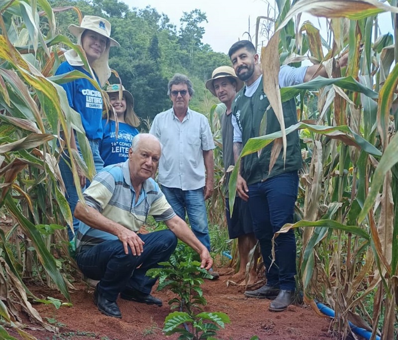 Italva recebe fiscalização do Ministério da Agricultura em novas lavouras de café Conilon