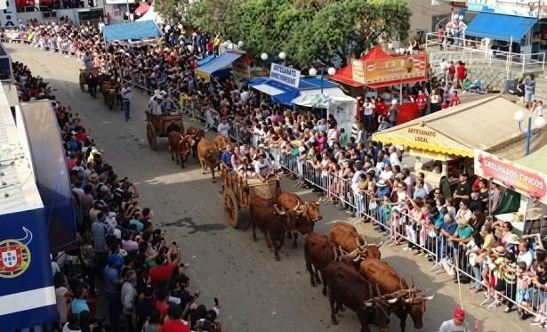 Raposo se prepara para viver a 64ª edição da Tradicional Festa dos Carros de Boi