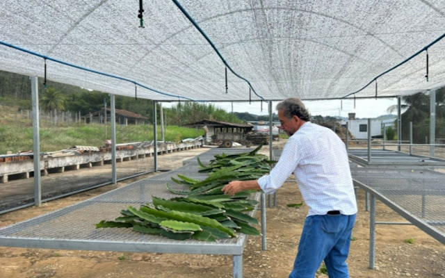 Italva é destaque na formação e pesquisa para a agricultura familiar no RJ