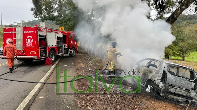 Vídeo: Motorista perde a direção, bate em árvore e veículo é destruído pelo fogo