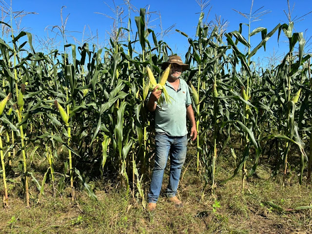 Agricultura fluminense abastece os arraiás e fortalece a agricultura do estado