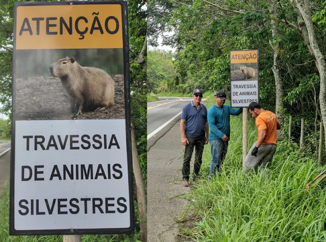 Placas são instaladas na BR 356 alertando a travessias de animais em Cardoso Moreira