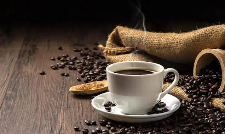 Cafés especiais do Alto Noroeste terão destaque no Movimenta Sebrae