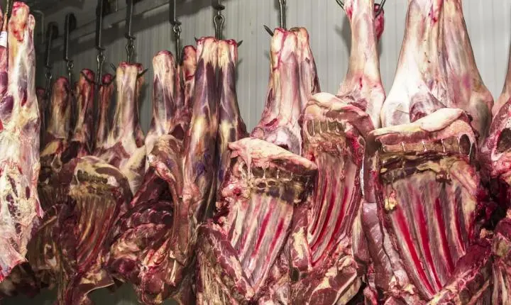 China suspende três frigoríficos brasileiros após irregularidades