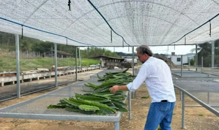 Italva é destaque na formação e pesquisa para a agricultura familiar no RJ