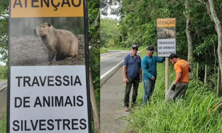 Placas são instaladas na BR 356 alertando a travessias de animais em Cardoso Moreira