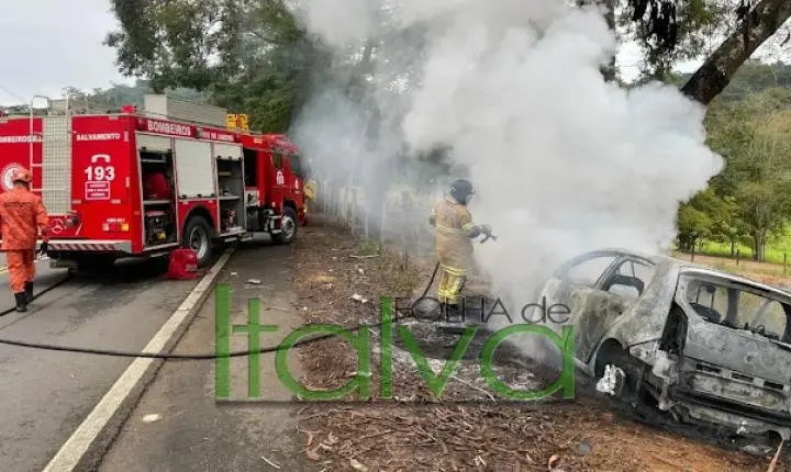 Vídeo: Motorista perde a direção, bate em árvore e veículo é destruído pelo fogo